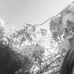 jarabe y bebia