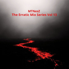 The Erratic Mix Series Vol 13