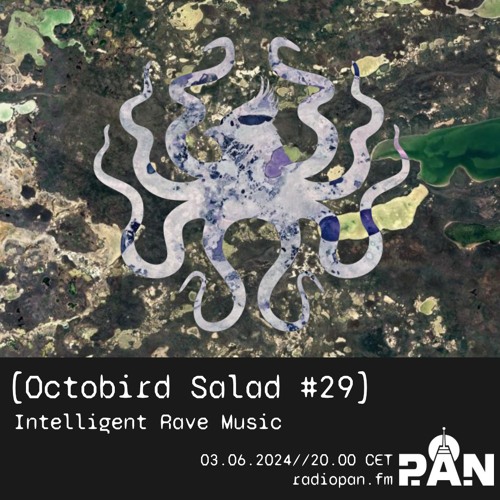 Octobird Salad #29 | Intelligent Rave Music