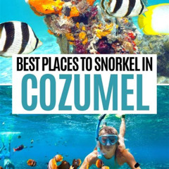 Best Beach For Snorkeling In Cozumel Prices Reviews