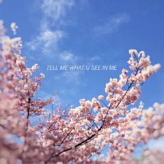 TELL ME WHAT U SEE IN ME