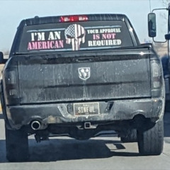 238 - The Victims of Us (3/1/2026)