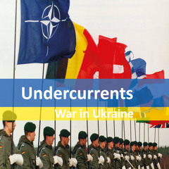 War In Ukraine: The reshaping of the NATO alliance