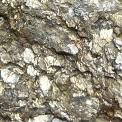 Grief Work Episode 1