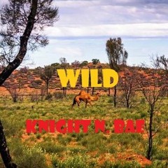 Wild - Knight N. Bae
