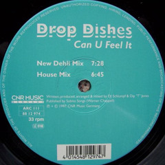 Can U Feel It (House Mix) - Drop Dishes