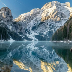 Had 2 B There