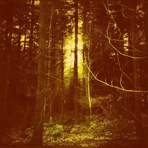 Burial - Stolen Dog (N.D.'s Rendelsham Forest Remix) FREE DOWNLOAD