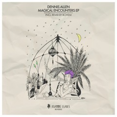 Dennis Allen  - Apparently Insecure (Original Mix) [RLVS002]