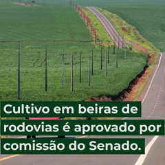 Cultivo em beiras de rodovias é aprovado por comissão do Senado