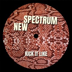 New Spectrum - Kick It Like (FREE DOWNLOAD)
