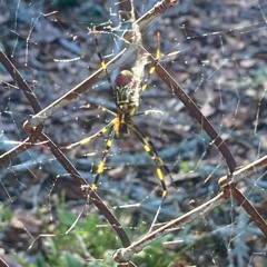 brickbuybrick (prod. longlost)