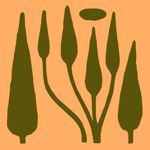 Phase Group Mix - Sallad Egg