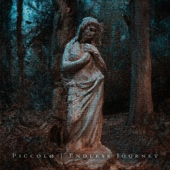 Piccolø - Endless Journey