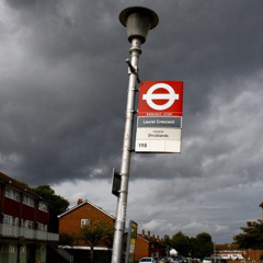 #STK KP 3 Shrublands