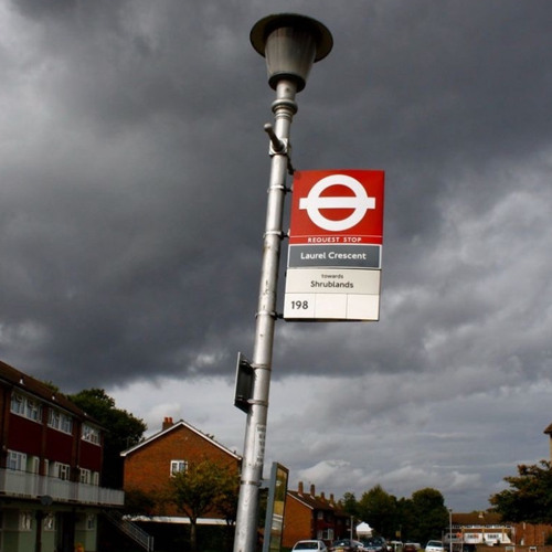 #STK KP 3 Shrublands