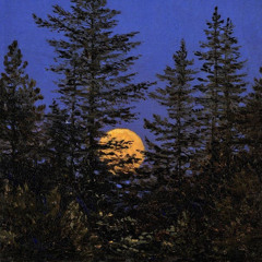 Moonshine (Demo)