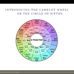 DaniMandala - Ecstatic Dance 1hr