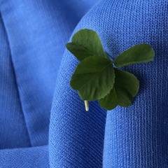 Well Done (Nub1323fast)