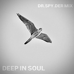 DEEP IN SOUL / DR.SPY.DER MIX 2025.wav
