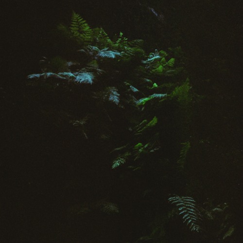 Mutul - Alba (Luis León Rephase) [Drift Deeper]