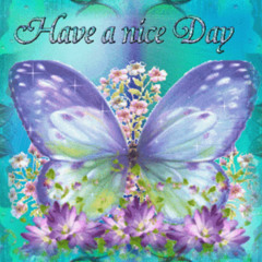 BUTTERFLY AWESOME REMIX >_<