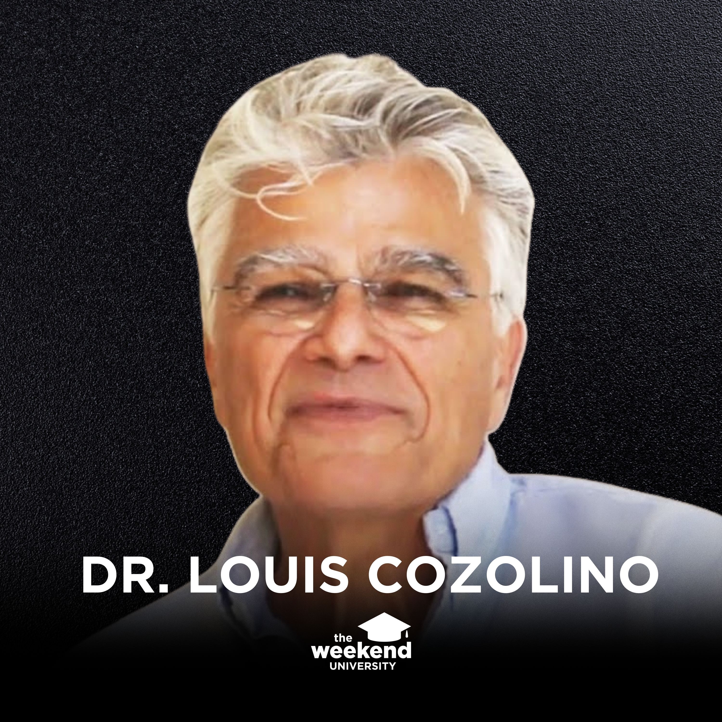 Why Psychotherapy Works - Dr. Louis Cozolino, PhD