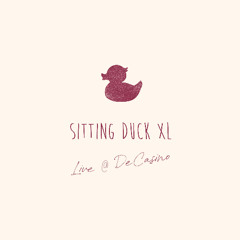 2019 - Sitting Duck live @ De Casino - Waterfountain (Tune-Yards cover)