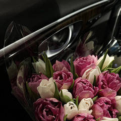 مالوم عيني تسهر عليك - عامر