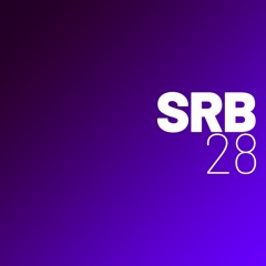 SRB_28