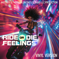 RideOrDieFeelings(VinylVersion)