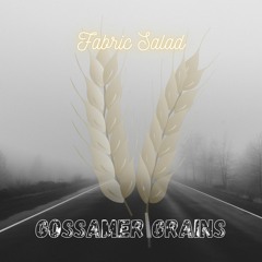 Gossamer Grains