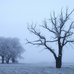 Oprah (prod. empire)