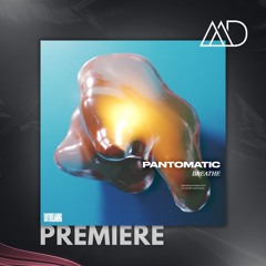 PREMIERE: Pantomatic - Amnesty (Original Mix)  [Daydreaming]