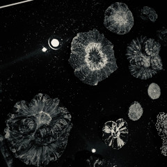 Fungus Amungus