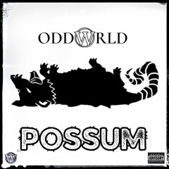 POSSUM [Prod. by Rxck]