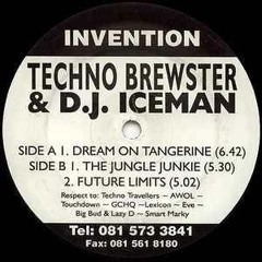Techno Brewster & DJ Iceman - Dream On Tangerine (Enlightenment Rework) [DEMO]