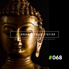 Zen Organic House #068 - Melodies for the Mind | 🛋️ Deep Focus dj mix session 慢摇