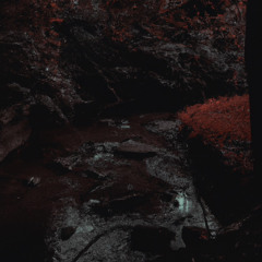 𝚆 𝙷𝚄𝙹𝙰 𝚃𝙾 𝙹𝙰 𝙰 𝙽𝙸𝙴 𝙼𝙽𝙸𝙴