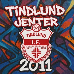 Tindlund Jenter 2011