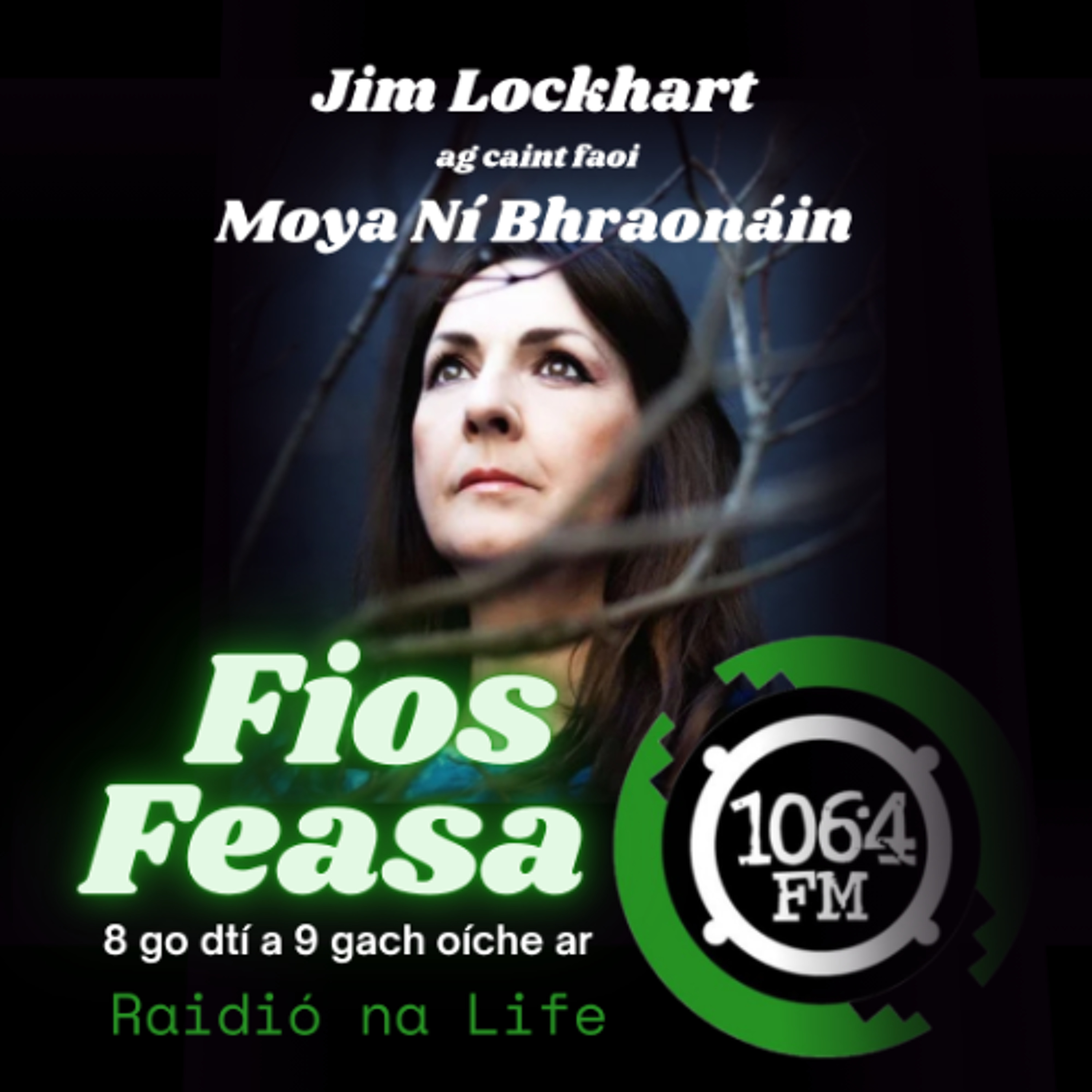 Moya Ní Bhraonáin: Jim Lockhart, Horslips episode artwork
