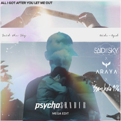 SAID THE SKY x ARAYA x SAN HOLO - ALL I GOT AFTER YOU LET ME OUT (psychoSONDER mega edit)