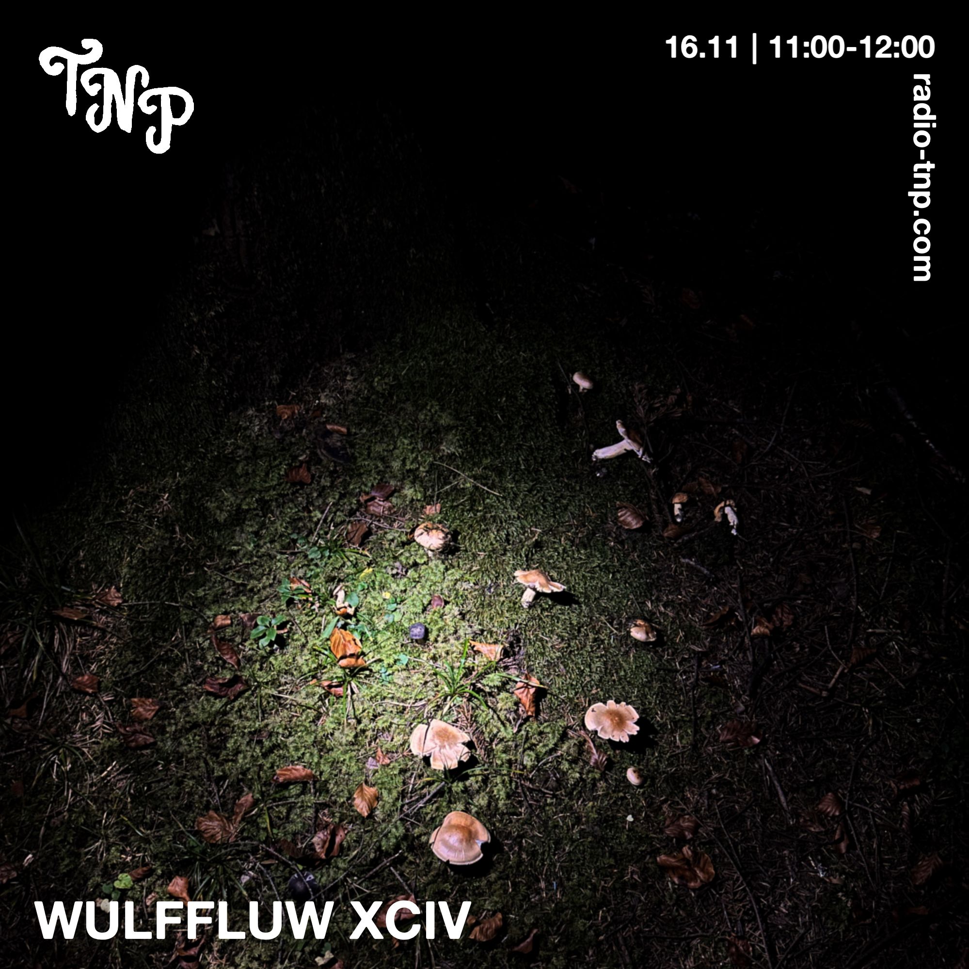 WULFFLUW XCIV