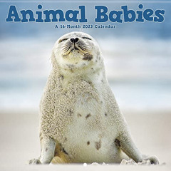 free EPUB 💛 2023 Animal Babies Mini Wall Calendar by  Trends International [EBOOK EP