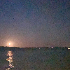 The sea