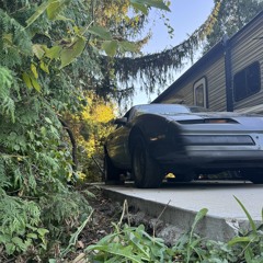 THA BIRD(ft shuno)(demo)