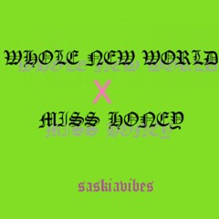 WHOLE NEW WORLD X MISS HONEY (SASKIAVIBES MASHUP)