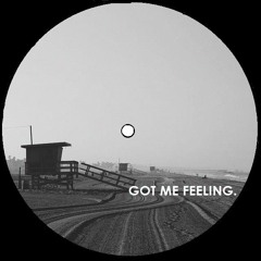 Dimmy L Ft. Sean Coch - Got Me Feeling (Emotions)