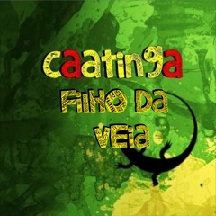 FILHO DA VEIA