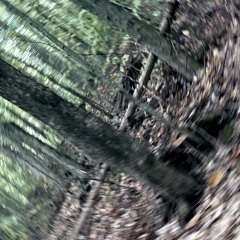 pecunder